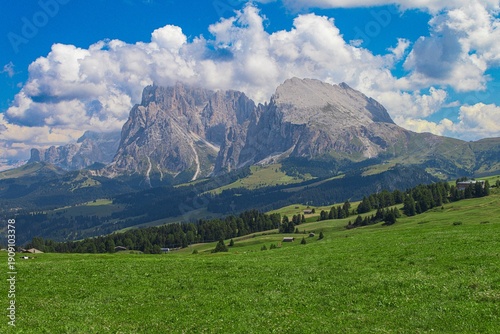 Panoramic view of the Sassolungo Group from the Alpe di Siusi in South Tyrol, Italy
