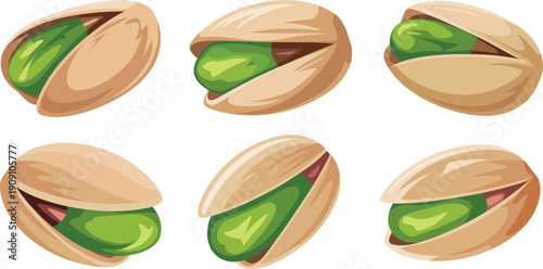 Detailed Vector Illustration Set of Realistic Pistachio Nuts in Open Shells Showing Green Kernels for Healthy Snack Packaging Organic Food Branding and Culinary Design