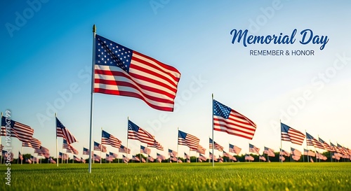 Memorial day celebration with american flags in a field