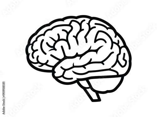 Minimalist vector illustration of a human brain, representing intelligence, science, and cognition. Clean line art on white background.