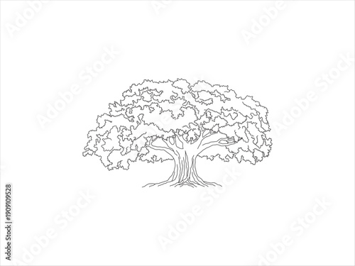 oak tree line art, useful for coloring book