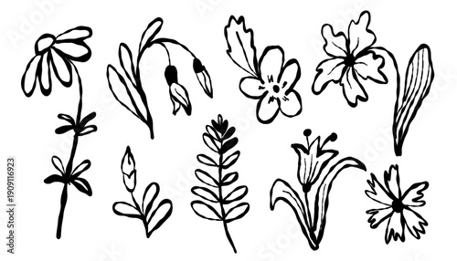 Black and white hand drawn floral collection featuring delicate wildflowers, leaves and blossoms in expressive line art. Organic shapes, bold contours and minimal details create a charming botanical s