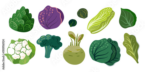 Illustrated set of stylized brassica vegetables including broccoli, cauliflower, kohlrabi, and various cabbages. Each piece features unique textures, organic shapes and natural colors