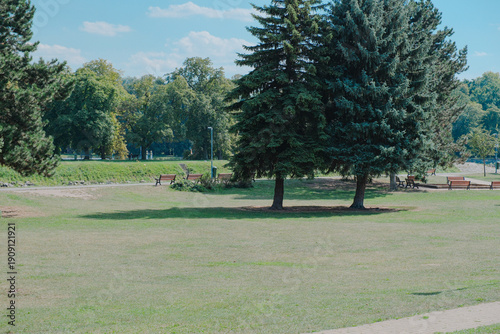 Peaceful Summer Landscape of Ostrov Park in Nymburk, Czech Republic with Lush Greenery and Elbe River