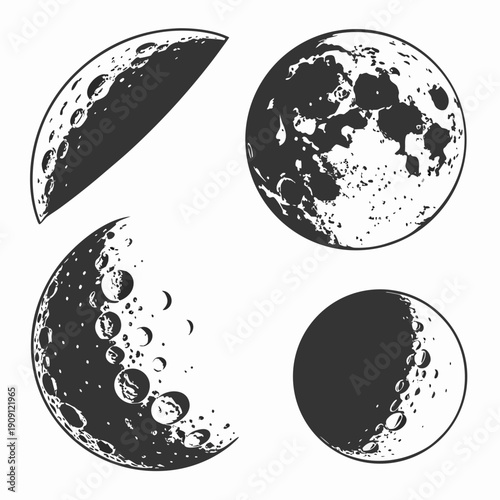 Four phases of the moon in a illustration