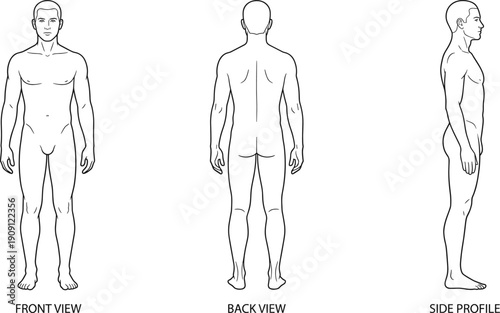 Male human body anatomy template with front, back and side profile views, detailed line outline for medical illustration, proportion study and figure drawing reference.