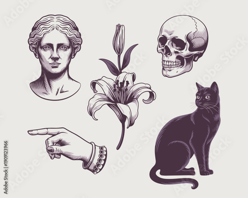 Vintage illustration collection featuring classical bust sculpture pointing hand skull black cat and lily flower symbolizing mystery life death and guidance for gothic tattoo design or occult graphic