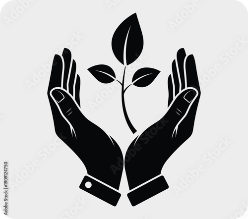 Hands nurturing a young plant