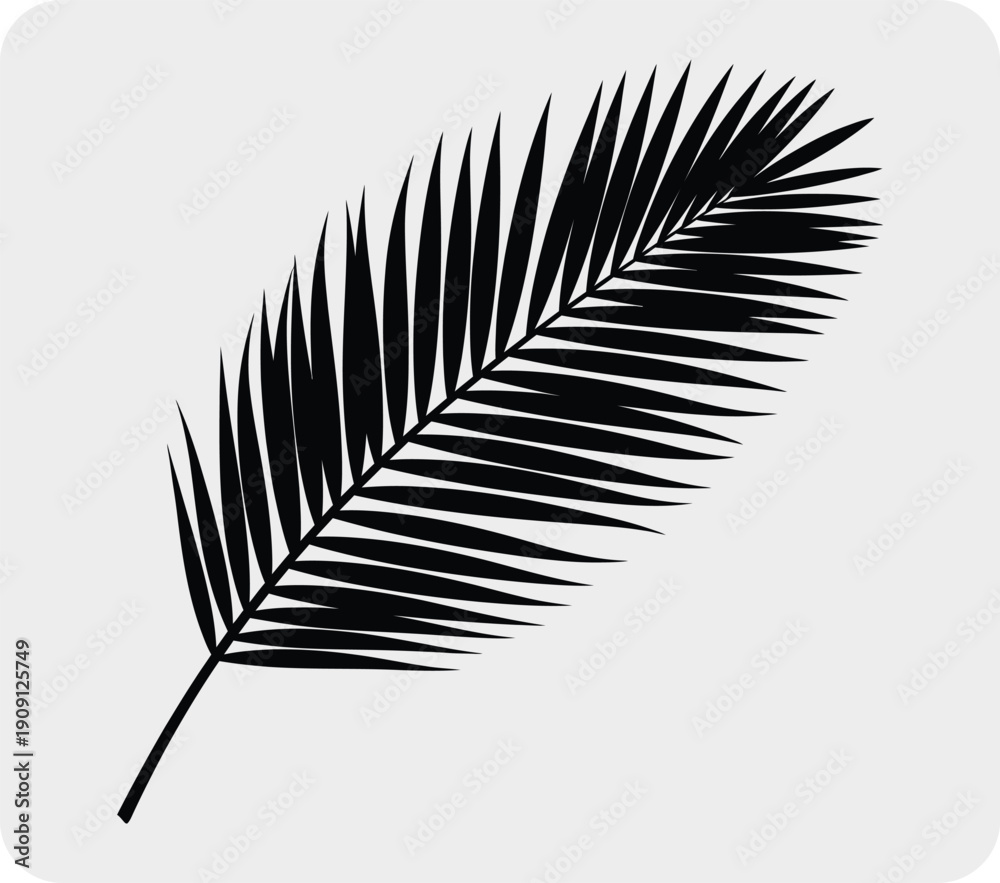 Fototapeta premium Detailed silhouette of a single palm leaf