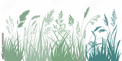 Green meadow grass silhouettes blowing in the wind with detailed seed heads and blades against a clean white background for nature and agriculture themes