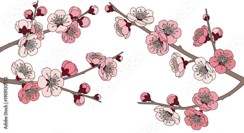 Graceful pink plum blossoms on branches, an exquisite illustration capturing spring's renewal and prosperity, ideal for imlek and chinese new year festivities
