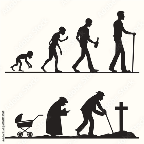 Life's Stages: From Evolution to the Grave.

