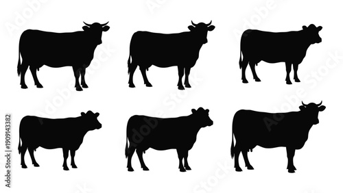 Six black silhouettes of cows in various poses and orientations isolated on white background, Vector