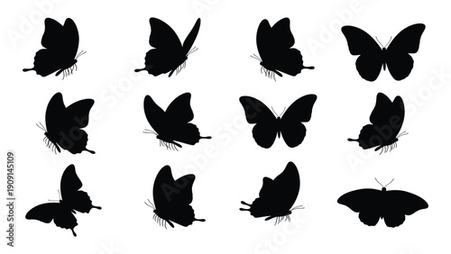 A diverse collection of various butterfly silhouettes showcasing different shapes and sizes isolated on white background, Vector