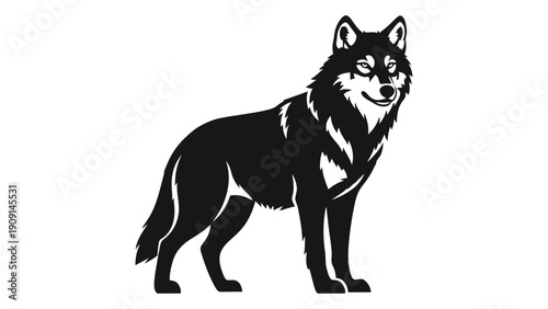 A majestic black and white illustration of a wolf standing on all fours. isolated on white background, Vector