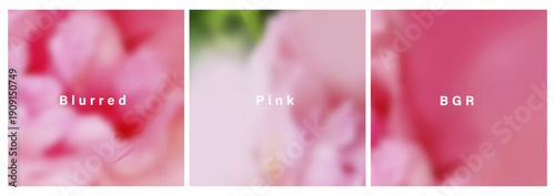 Spring or summer vector blurred gradient background. Soft and pastel floral template with blur effect. Pink and rose color.