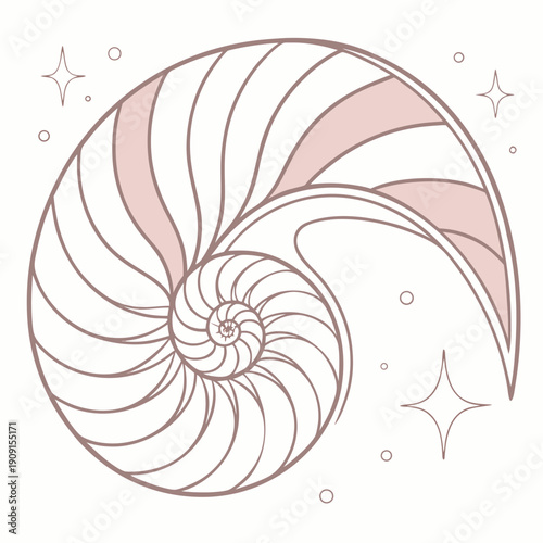 A pink nautilus shell with stars and sparkles