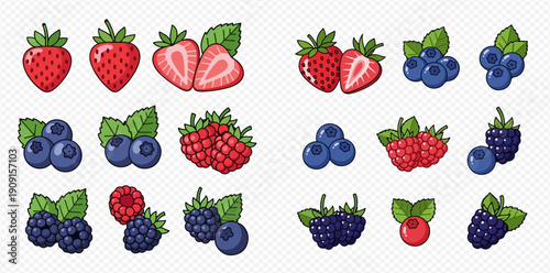 Collection of various fresh berries including strawberries, blueberries, raspberries, and blackberries in cartoon style.
