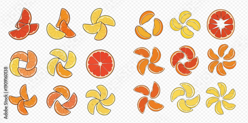 Set of citrus fruit slices arranged in various decorative patterns and whole fruit cross-sections.