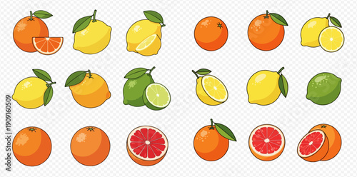 Collection of various citrus fruits including oranges, lemons, limes, and grapefruits, whole and sliced, with leaves, on a transparent background.