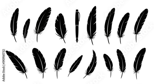Collection of Black Feather Silhouettes and a Pen on White Background