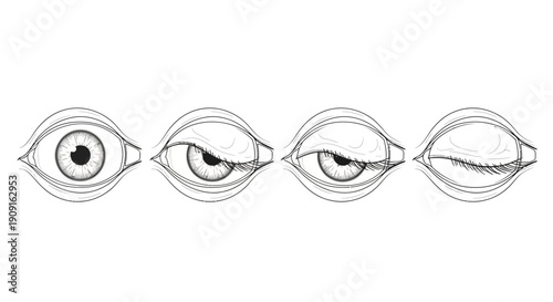 Sequence of Eye Blinking and Squinting, Close-up Sketch