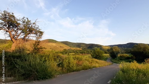 Spring mountain landscape yellow hills road trees golden light