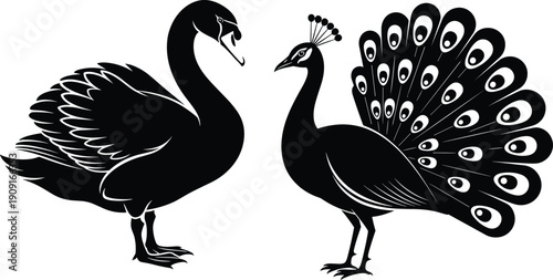 Elegant Black and White Vector Illustration Featuring a Majestic Swan with Ruffled Feathers and a Beautiful Peacock with a Displayed Fan Tail Isolated on White