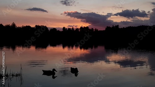 Golden sun sets behind forest silhouettes reflecting in calm lake water at dusk near Regensburg