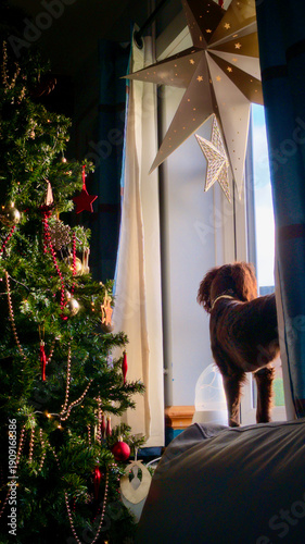 Tableau sur toile Christmas scene