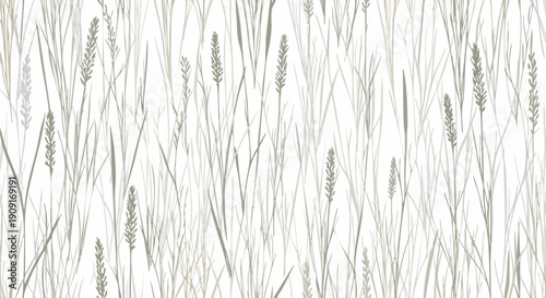 Vector seamless pattern with subtle light grey lavender sprigs and wheat stalks on white background, minimalist botanical texture