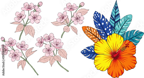 Vector illustration of pink cherry blossoms and a vibrant tropical hibiscus flower with blue and orange feathers, isolated on white