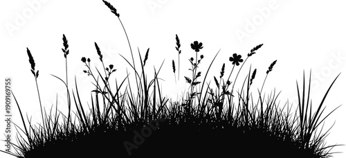 A silhouette of grass blades, with a single, bright light source (e.g., a sunbeam) illuminating the scene.