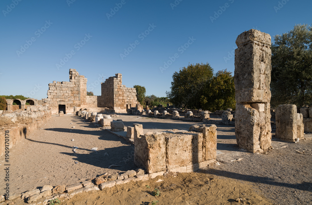 Fototapeta premium Ruins of the ancient city of Perge in Antalya. The columns of the Agora Square. Historical and archaeological heritage of Türkiye