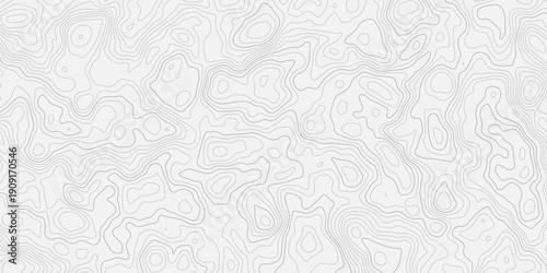 Abstract Terrain Landscape Illustration with White Paper Cut Relief
Organic Flowing Contour Lines with Layered Terrain Design