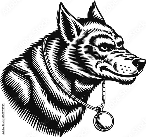 black and white husky dog portrait with collar and tag side view of alert pet canine sketch