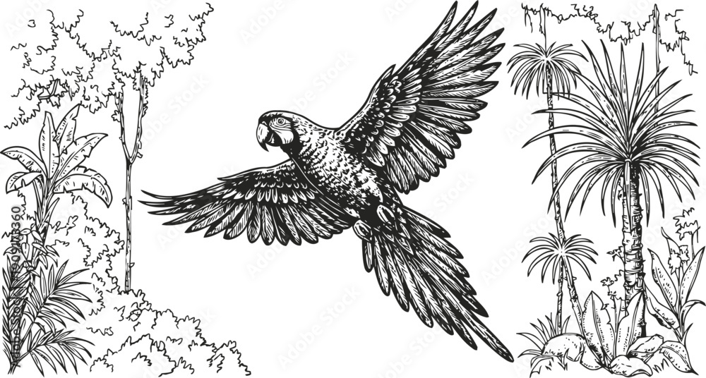 Fototapeta premium Macaw parrot flying in tropical jungle with palm trees and dense lush foliage illustration