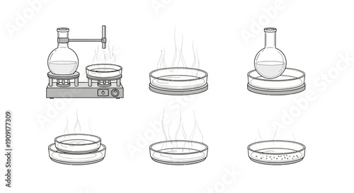 Laboratory heating and evaporation setup with petri dishes