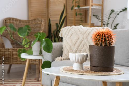 Cactus on coffee table in s...