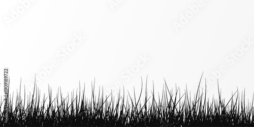 Black Grass Silhouette Frames Collection with Wild Meadow Plants for Natural Landscape Borders and Outdoor Design Elements