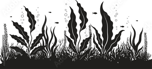 Black silhouette of seaweed against white background