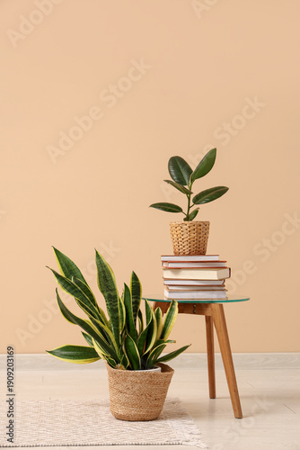 Houseplants and stack of bo...