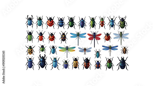 A colorful vector illustration of various insects including beetles and dragonflies in different colors and poses on a white background