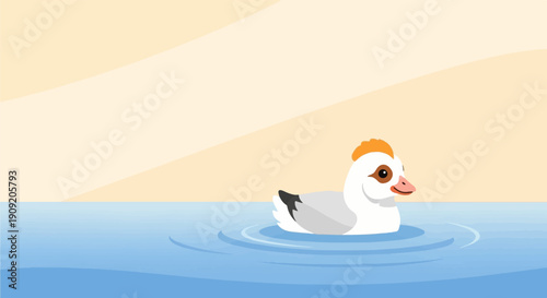 A cute white duck with an orange tuft swims peacefully on blue water