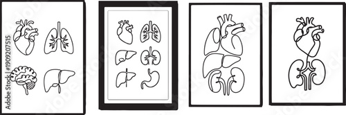 One line human organ set poster drawing with frame.one line icon illustration with white background