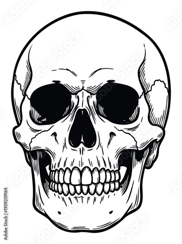 Stylized human skull graphic with dark eye sockets and detailed teeth in a vintage engraving style perfect for tshirt prints, posters, or spooky Halloween designs