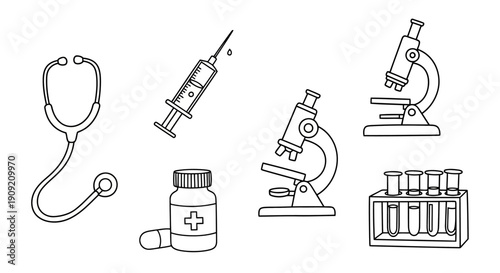 Elegant classic sofa in modern minimalist interior design