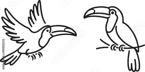 Hand drawn line art toucan set featuring a flying toucan and one perched on a branch for tropical design.one line icon illustration with white background