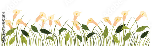  horizontal cartoon banner with gorgeous multicolored 