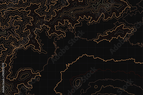 Luxury Black and Gold Topographic Map Line Art Background